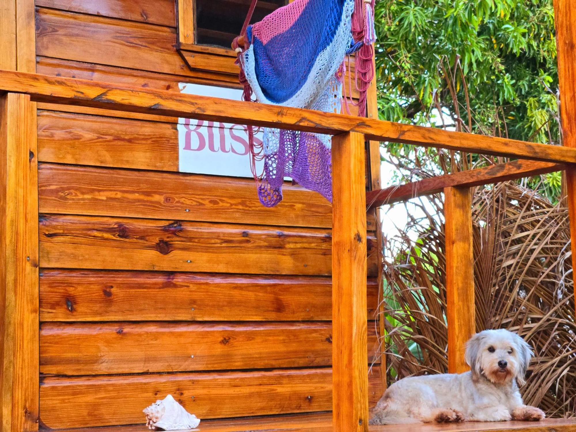 The Lighthouse Retreat, Little Corn Island, Nicaragua Hotel Exterior foto
