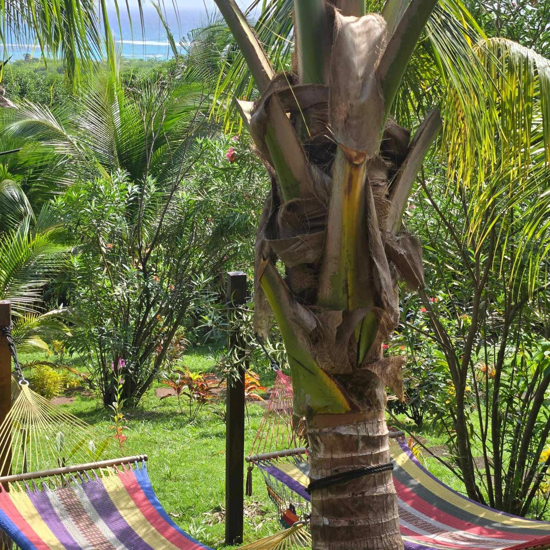 The Lighthouse Retreat, Little Corn Island, Nicaragua Hotel Exterior foto